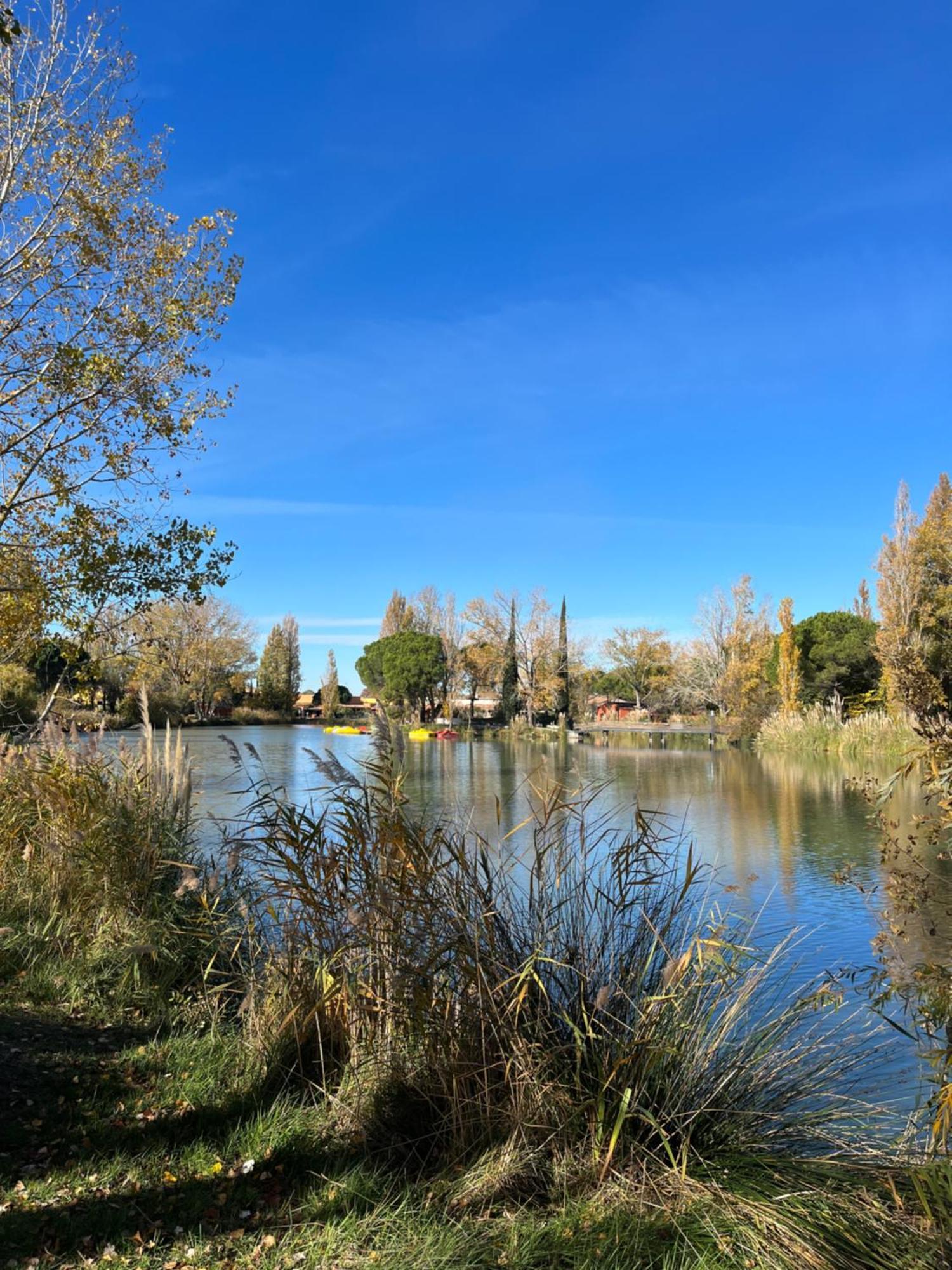 Camargue Arles